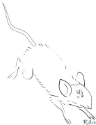 reáchtáil Leathanaigh Dathúcháin Inphriontáilte